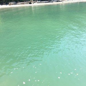 Meet your Posher, Tabitha